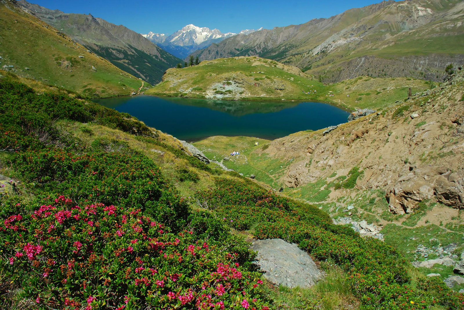 Parco Nazionale Gran Paradiso | Val di Cogne | Ph Dario De Siena